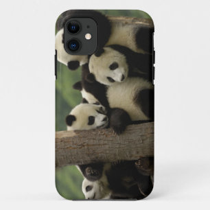 Reuzenpanda baby's Ailuropoda melanoleuca) iPhone 11 Hoesje
