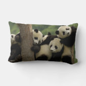 Reuzenpanda baby's Ailuropoda melanoleuca) Kussen (Achterkant)