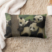Reuzenpanda baby's Ailuropoda melanoleuca) Kussen (Deken)