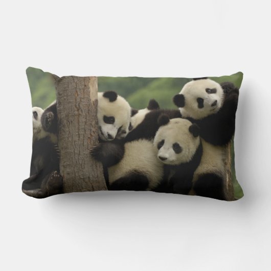 Reuzenpanda baby's Ailuropoda melanoleuca) Kussen (Voorkant)