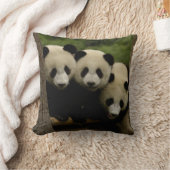 Reuzenpanda baby's Ailuropoda melanoleuca) Kussen (Deken)