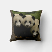 Reuzenpanda baby's Ailuropoda melanoleuca) Kussen (Achterkant)