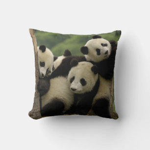 Reuzenpanda baby's Ailuropoda melanoleuca) Kussen