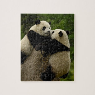 Reuzenpanda baby's (Ailuropoda melanoleuca) Legpuzzel