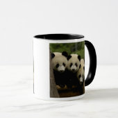 Reuzenpanda baby's Ailuropoda melanoleuca) Mok (Voorkant rechts)