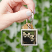 Reuzenpanda baby's Ailuropoda melanoleuca) Sleutelhanger (Hand)