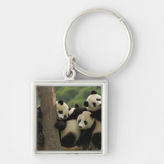 Reuzenpanda baby's Ailuropoda melanoleuca) Sleutelhanger (Voorkant)