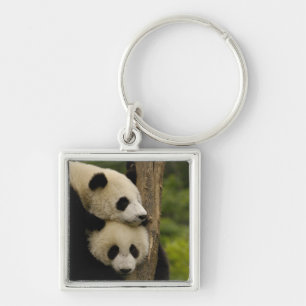 Reuzenpanda baby's Ailuropoda melanoleuca) Sleutelhanger
