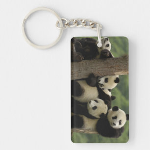 Reuzenpanda baby's Ailuropoda melanoleuca) Sleutelhanger