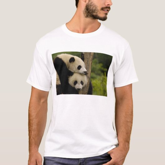 Reuzenpanda baby's Ailuropoda melanoleuca) T-shirt (Voorkant)