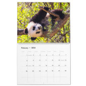 Reuzenpanda baby's kalender (Feb 2026)