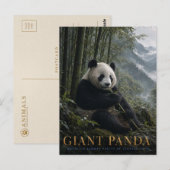 Reuzenpanda Bamboebos DIEREN Briefkaart (Voorkant / Achterkant)