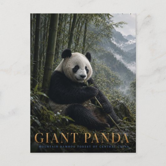 Reuzenpanda Bamboebos DIEREN Briefkaart (Voorkant)