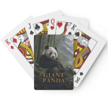 Reuzenpanda Bamboebos DIEREN Poker