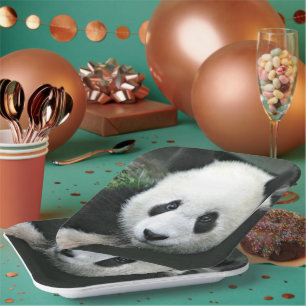 Reuzenpanda Close-up in groen gras Papieren Bordje