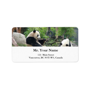 Reuzenpanda Etiket