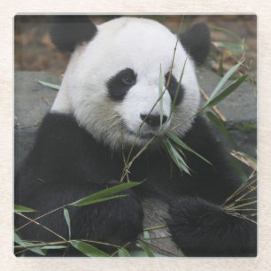 Reuzenpanda Glazen Onderzetter