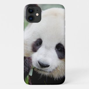 Reuzenpanda, grote panda, dieren. Case-Mate iPhone case