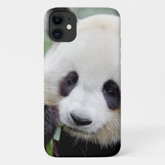Reuzenpanda, grote panda, dieren. Case-Mate iPhone case