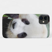 Reuzenpanda, grote panda, dieren. Case-Mate iPhone case (Achterkant (horizontaal))