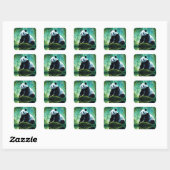 Reuzenpanda in Bamboebos Vierkante Sticker (Vel)
