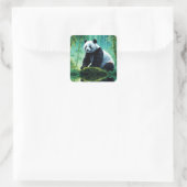 Reuzenpanda in Bamboebos Vierkante Sticker (Tas)