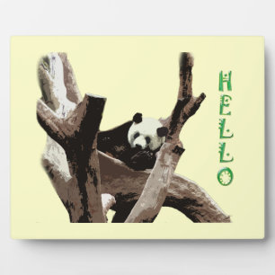 Reuzenpanda in een wild dierentuin fotografie. fotoplaat