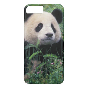 Reuzenpanda in het gras, Wolong-vallei, Sichuan iPhone 8/7 Plus Hoesje