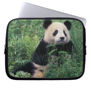 Reuzenpanda in het gras, Wolong-vallei, Sichuan Laptop Sleeve