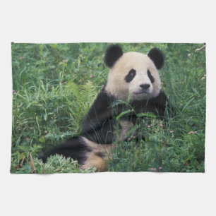Reuzenpanda in het gras, Wolongvallei, Sichuan Theedoek