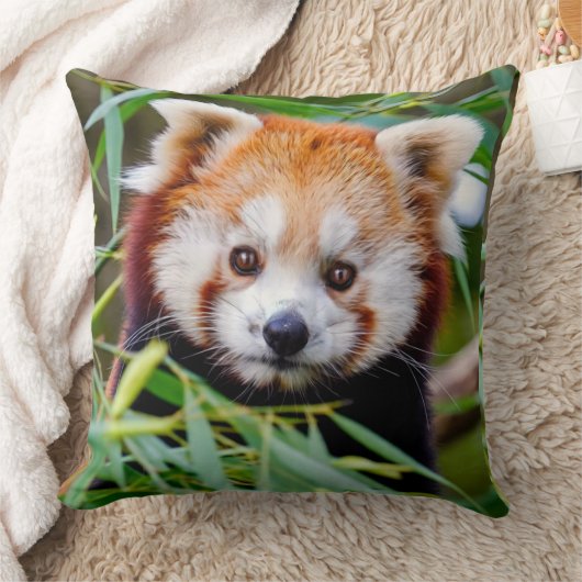 Reuzenpanda kussen (Deken)
