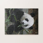 Reuzenpanda Legpuzzel (Horizontaal)