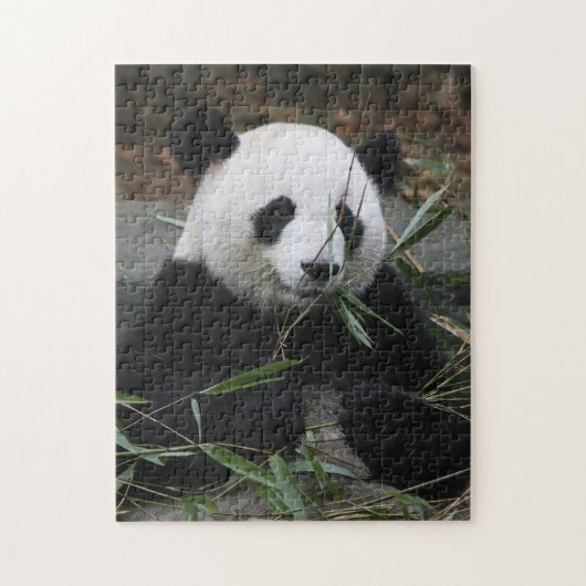Reuzenpanda Legpuzzel (Verticaal)