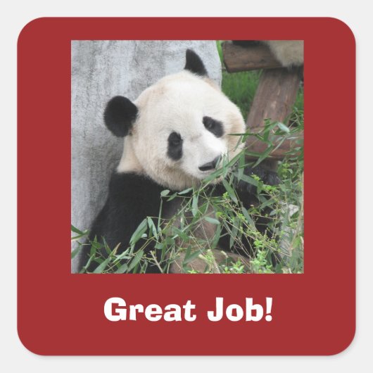 Reuzenpanda, leraar, geweldig werk! vierkante sticker (Voorkant)