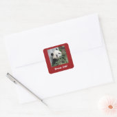 Reuzenpanda, leraar, geweldig werk! vierkante sticker (Envelop)