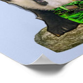 Reuzenpanda met welpen poster (Hoek)