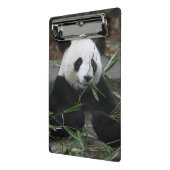 Reuzenpanda Mini Klembord (Angled2)