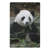 Reuzenpanda Mini Klembord (Achterkant)