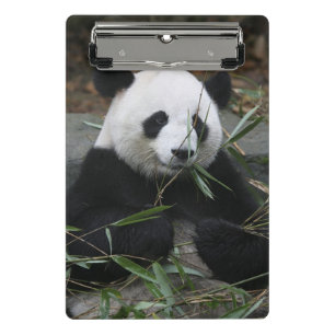 Reuzenpanda Mini Klembord
