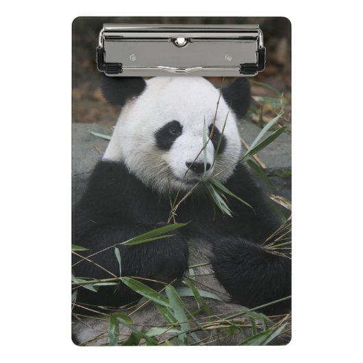 Reuzenpanda Mini Klembord (Voorkant)