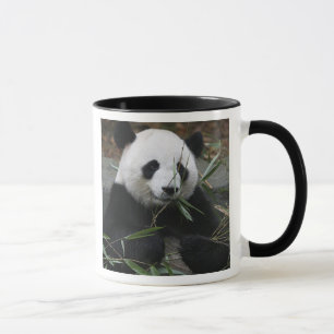 Reuzenpanda Mok