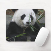 Reuzenpanda Muismat (Met muis)
