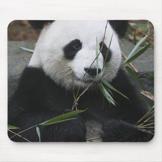Reuzenpanda Muismat (Voorkant)