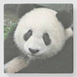 Reuzenpanda rustend in groen gras stenen onderzetter