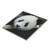 Reuzenpanda rustend in groene weide tegeltje (Zijkant)