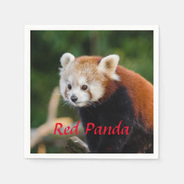 Reuzenpanda Servet