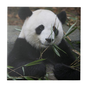 Reuzenpanda Tegeltje