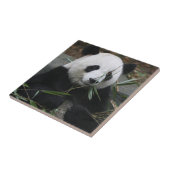 Reuzenpanda Tegeltje (Zijkant)