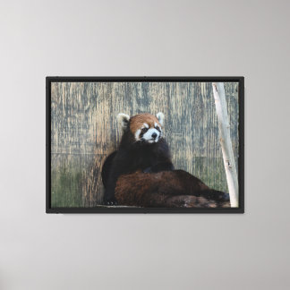 Reuzenpanda vibes canvasprint met spanrand canvas afdruk