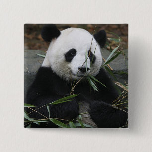 Reuzenpanda Vierkante Button 5,1 Cm